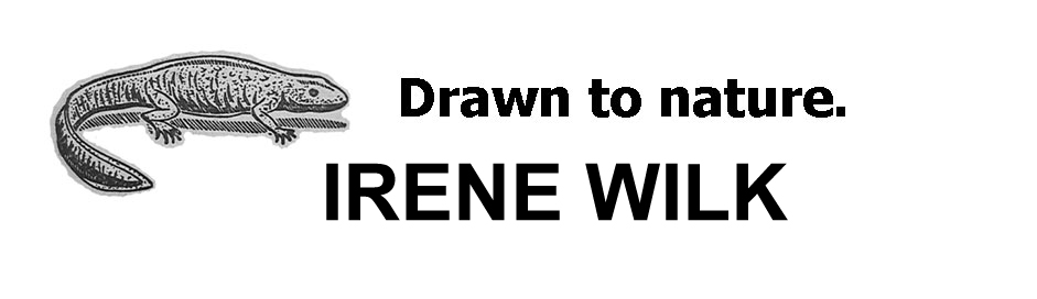 Irene Wilk Logo